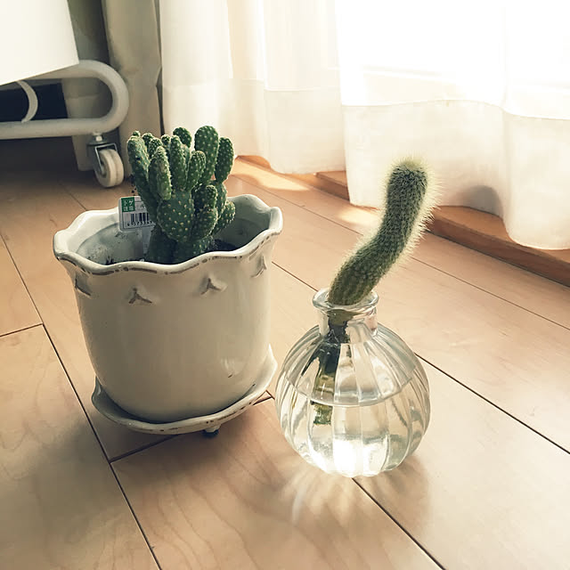knanataさんの実例写真