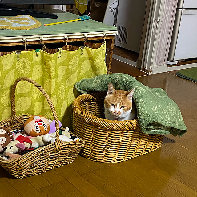 SHIHOさんの実例写真