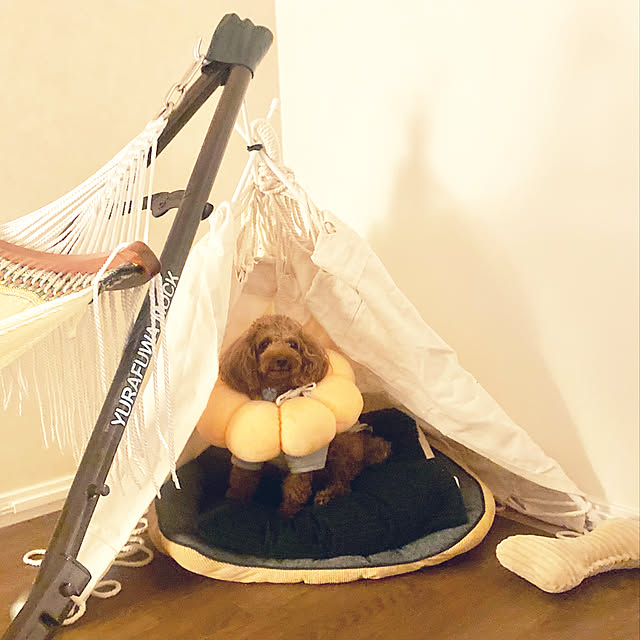 MOMOMAMAさんの実例写真
