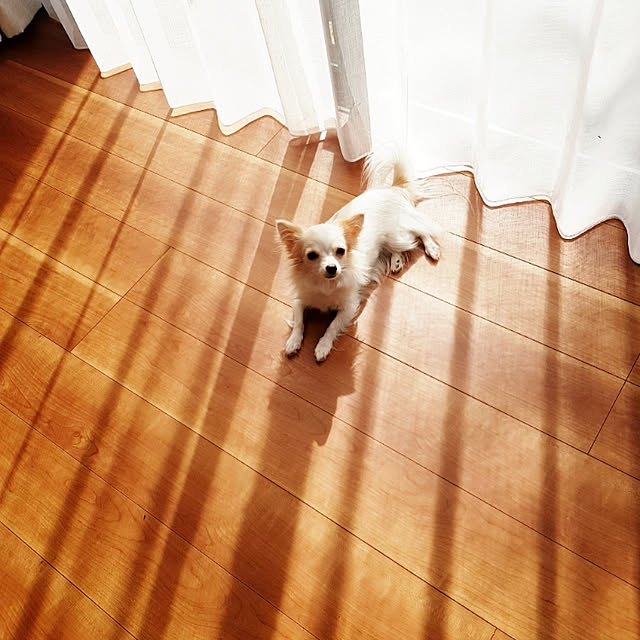 366さんの実例写真