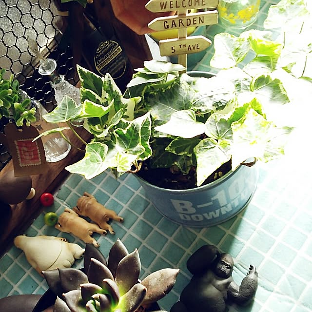 Rieさんの実例写真