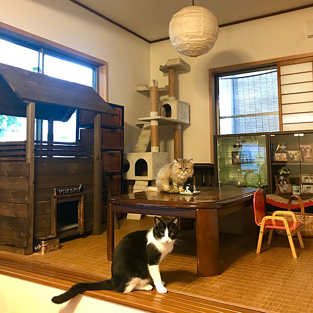 butachanさんの実例写真