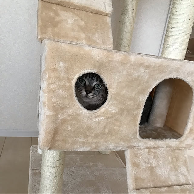 Shinさんの実例写真
