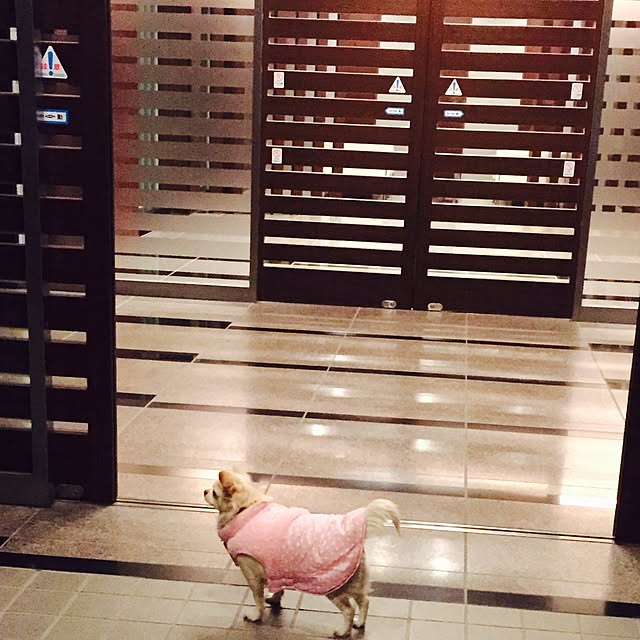chinaさんの実例写真