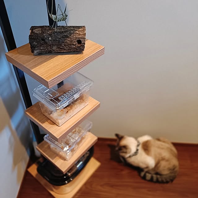 Atelier_tamakiさんの部屋