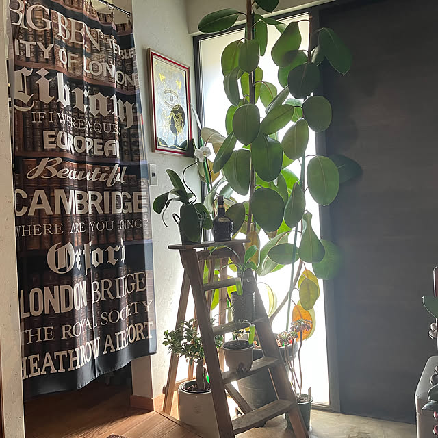 anne_sharlyさんの実例写真