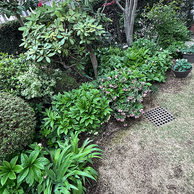 mamizaさんの部屋