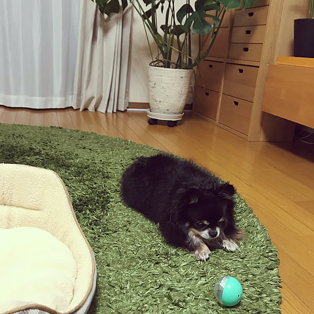 yukaさんの実例写真