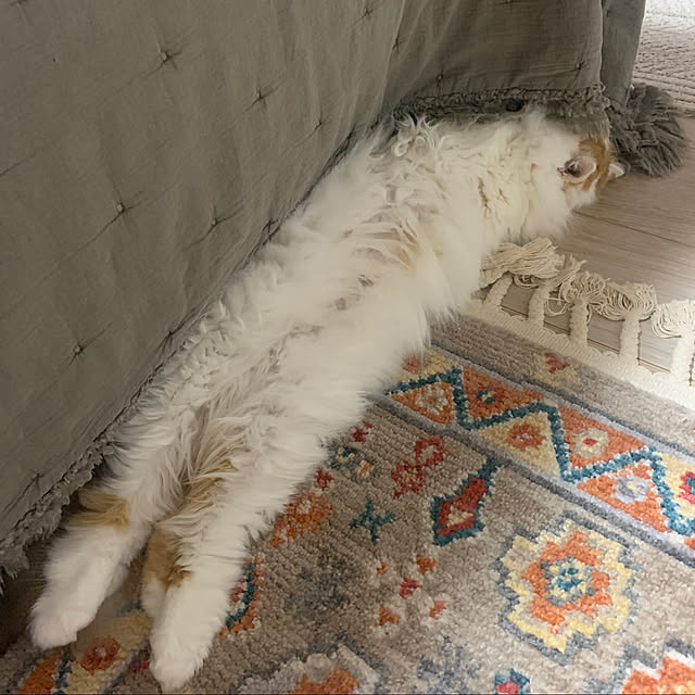keiさんの実例写真