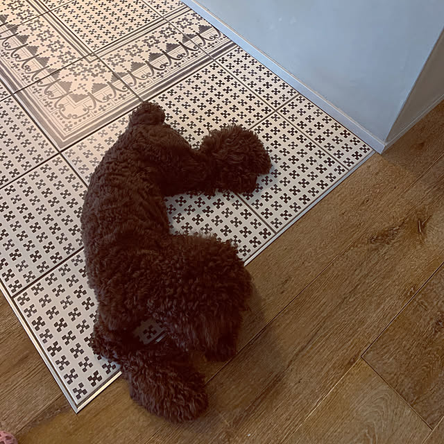 maruさんの実例写真