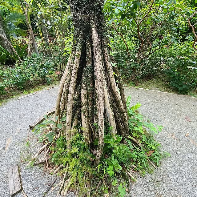 Rubiconさんの部屋