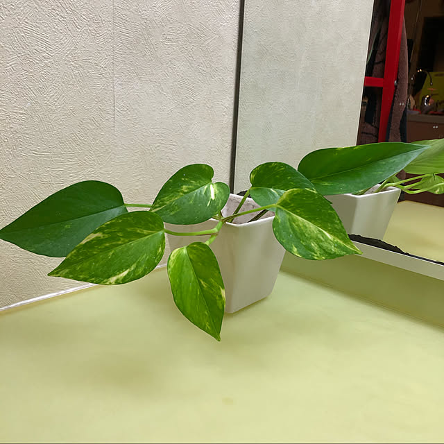 Hiromamさんの実例写真
