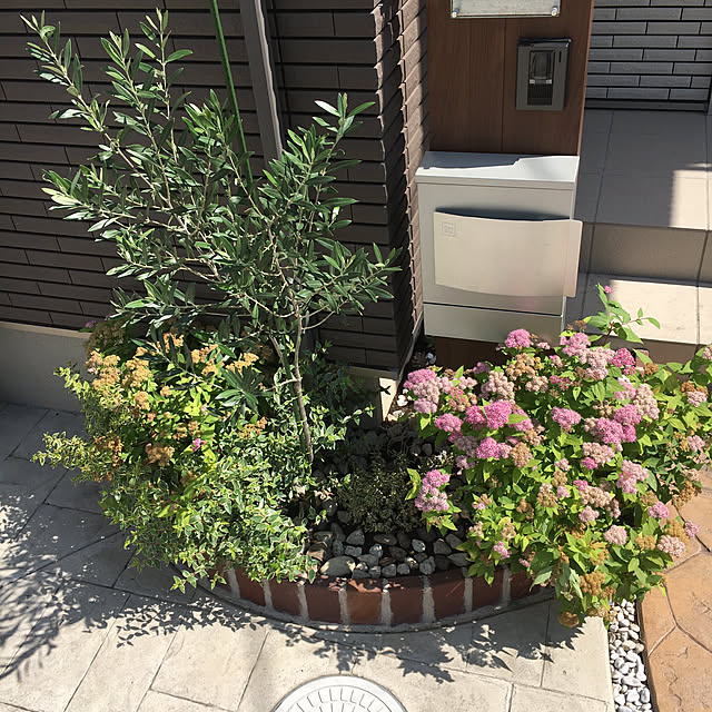 kiriwakaさんの実例写真