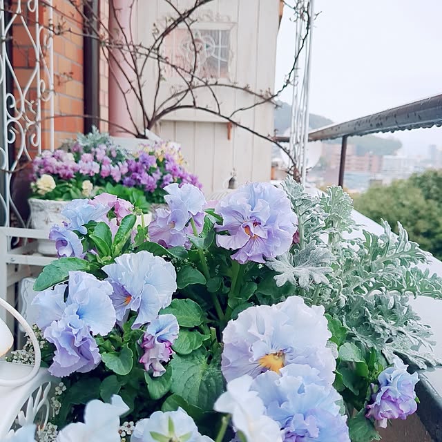 twinkle-butterfly38さんの実例写真