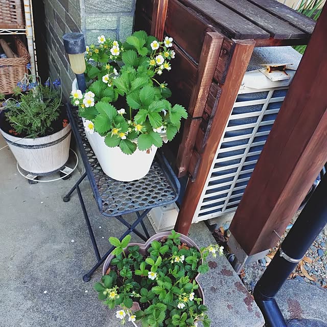 ameamekaasanさんの実例写真