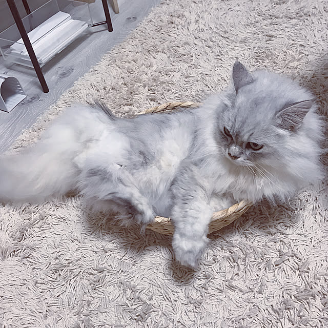 moon.mさんの実例写真