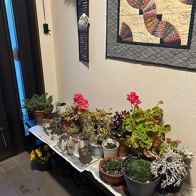 ritsukoさんの実例写真