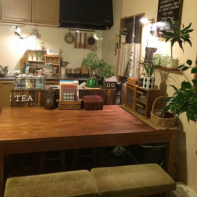 キッチン/照明/観葉植物のインテリア実例 - 2016-07-06 20:03:40