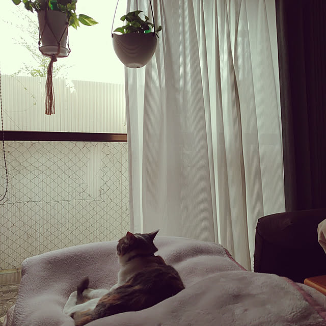 fukuさんの実例写真