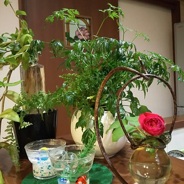 実例写真
