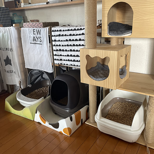 猫３にゃんに猫トイレ6/猫トイレ置き場/モニター商品/実感消臭トイレ/エステーペット...などのインテリア実例 - 2022-06-12 11:33:46