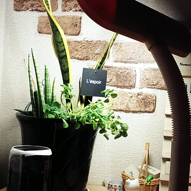 yuyuさんの実例写真