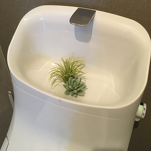 Kanaさんの実例写真
