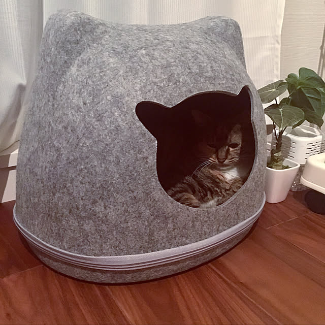 vino0414さんの実例写真