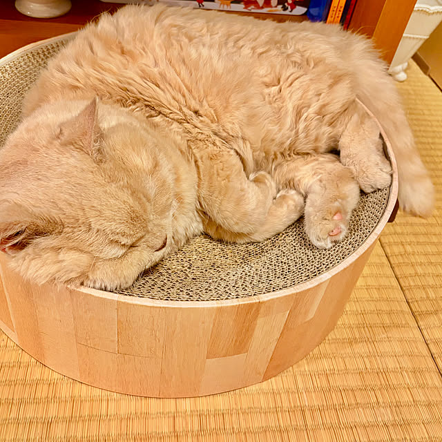 naokoさんの実例写真