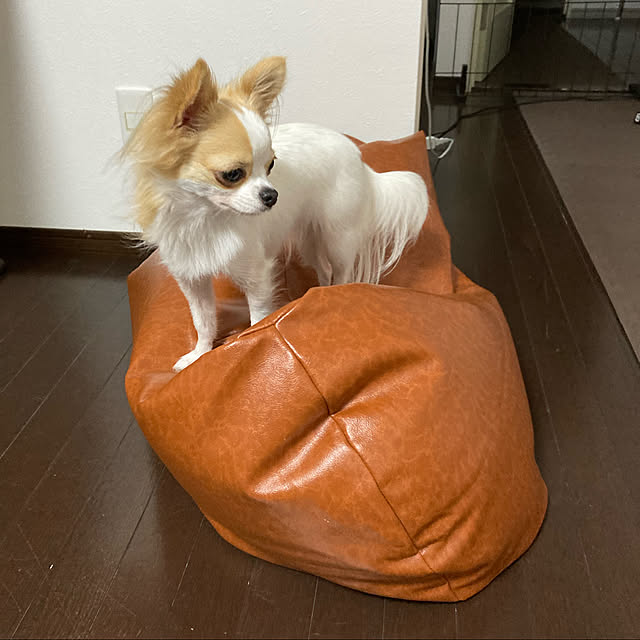 toratanさんの実例写真