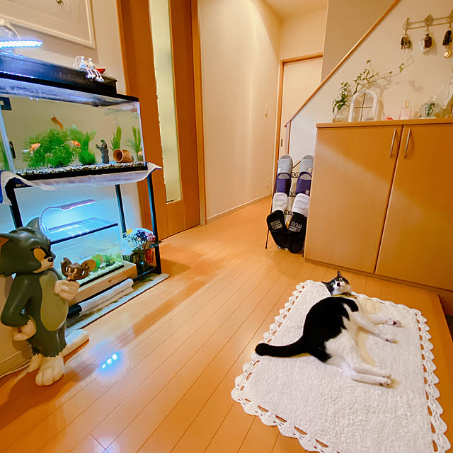 moolさんの部屋