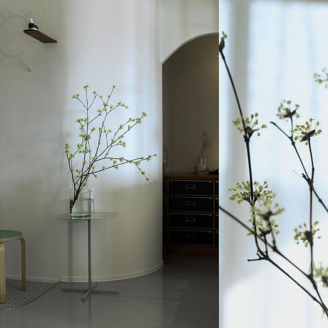 hinatabirdさんの部屋