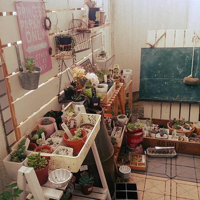 mtktr04さんの実例写真