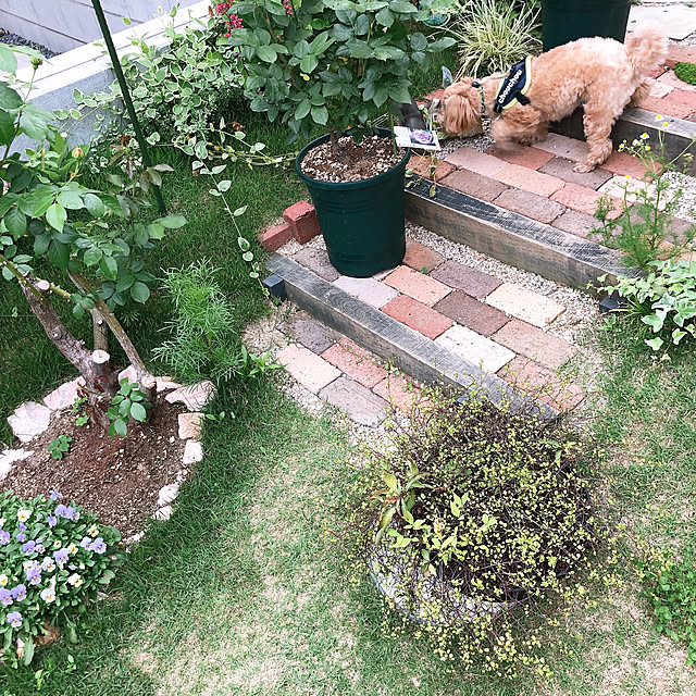 akirisさんの実例写真