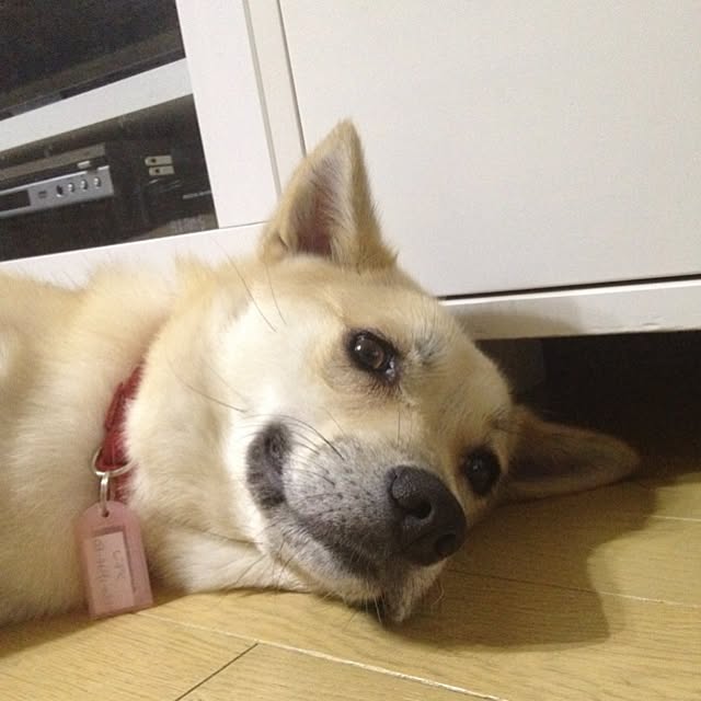 leonaさんの実例写真