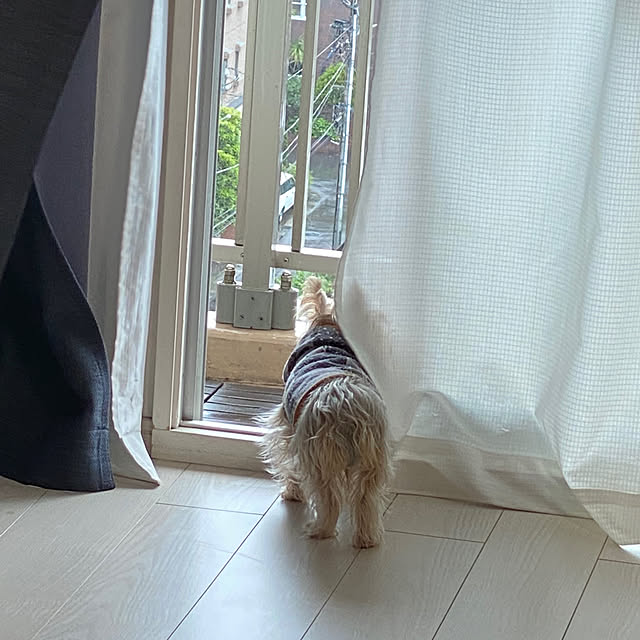 ohanaさんの実例写真