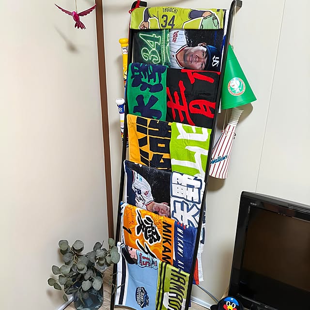 saoさんの実例写真