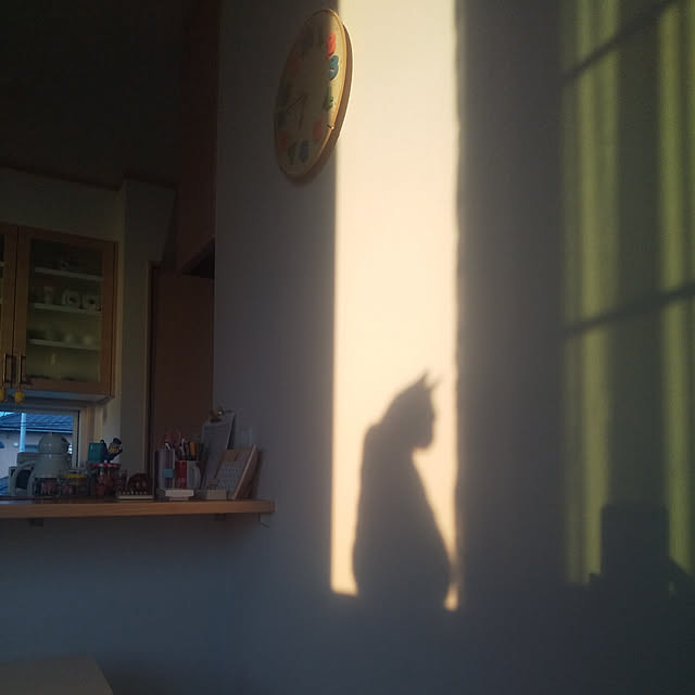 chikoさんの実例写真