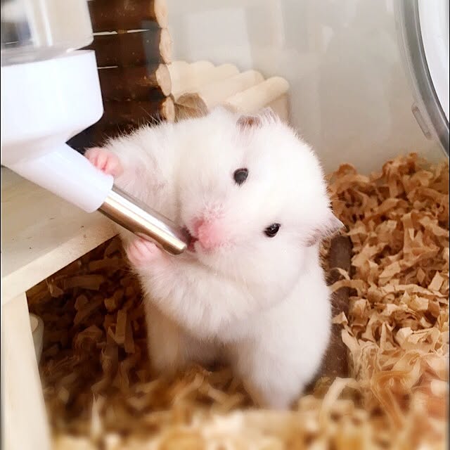DORAさんの実例写真