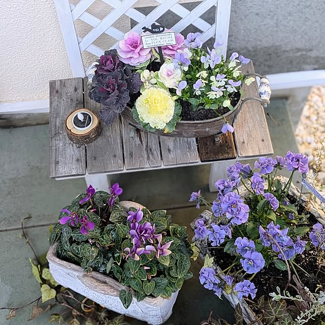 purpureさんの部屋