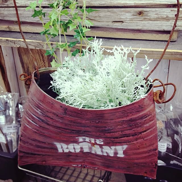 botanさんの実例写真