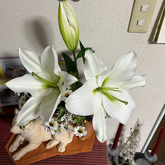 ritsukoさんの部屋