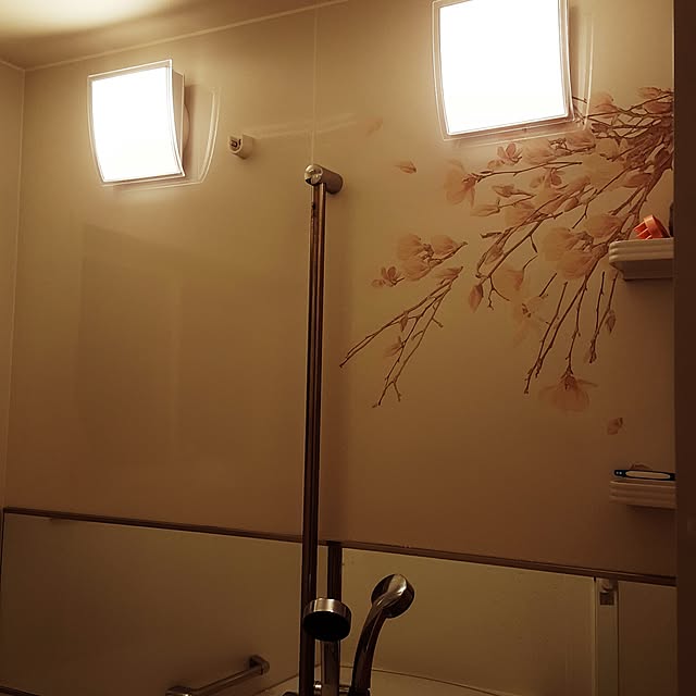 ayさんの実例写真