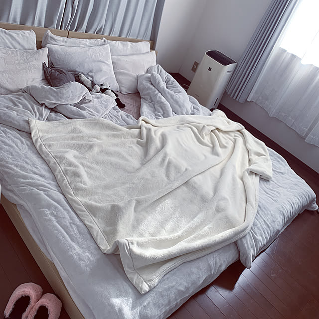 DailyRoomclip
