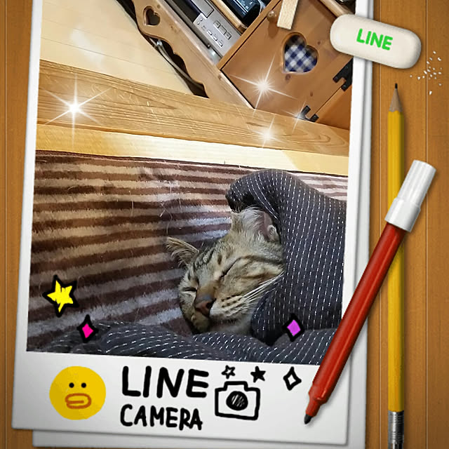 mokaさんの実例写真