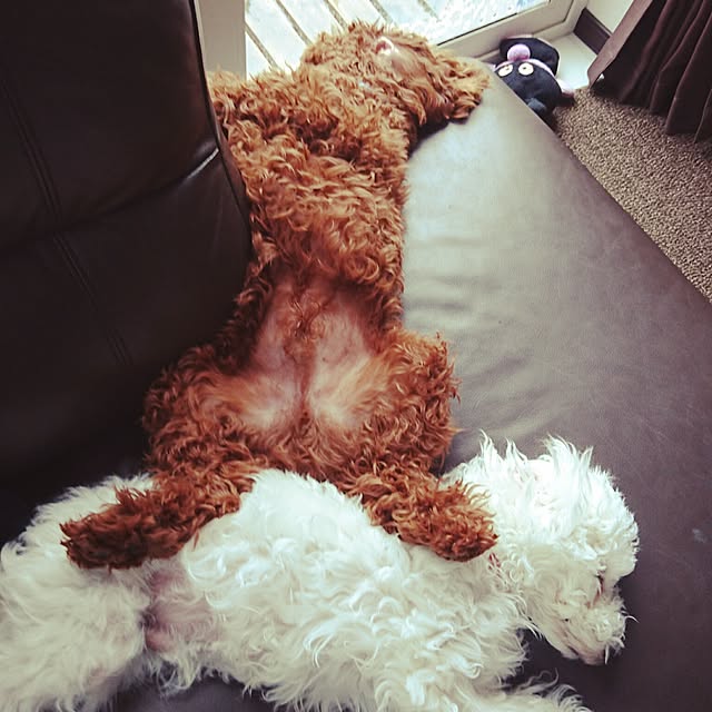 manaさんの実例写真