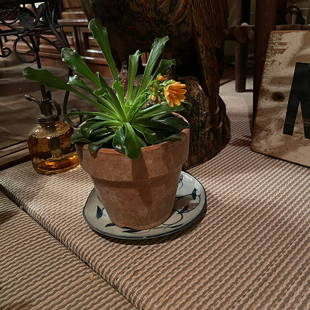 shin0719さんの実例写真