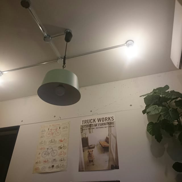 poipoiさんの実例写真