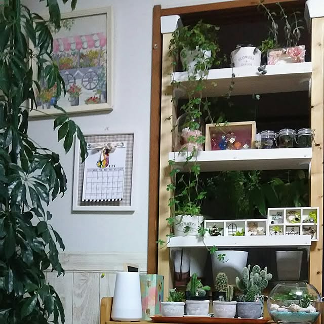 naopyiさんの実例写真
