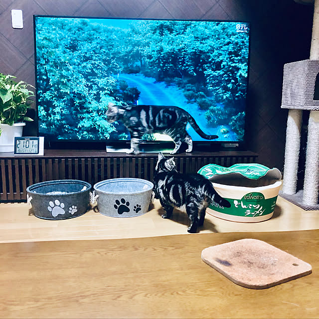 jokerdevil0709さんの実例写真